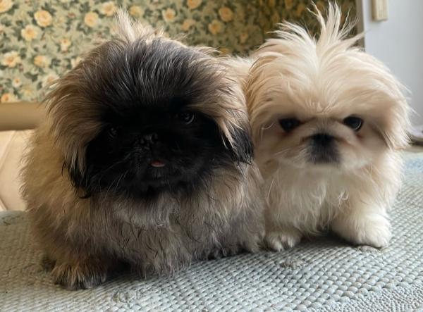 Прикрепленное изображение: IMG-20250405-WA0093 (1).jpg